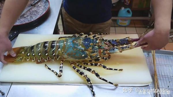 2,锦绣龙虾 请点击输入图片描述(最多18字) 花龙一般岁晚年头价格