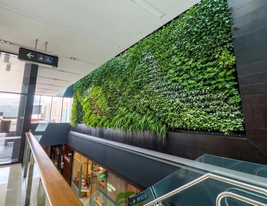 大厅垂直绿化墙设计案例