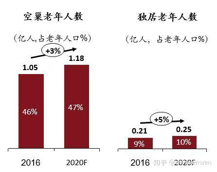 (四)老年群体家庭结构