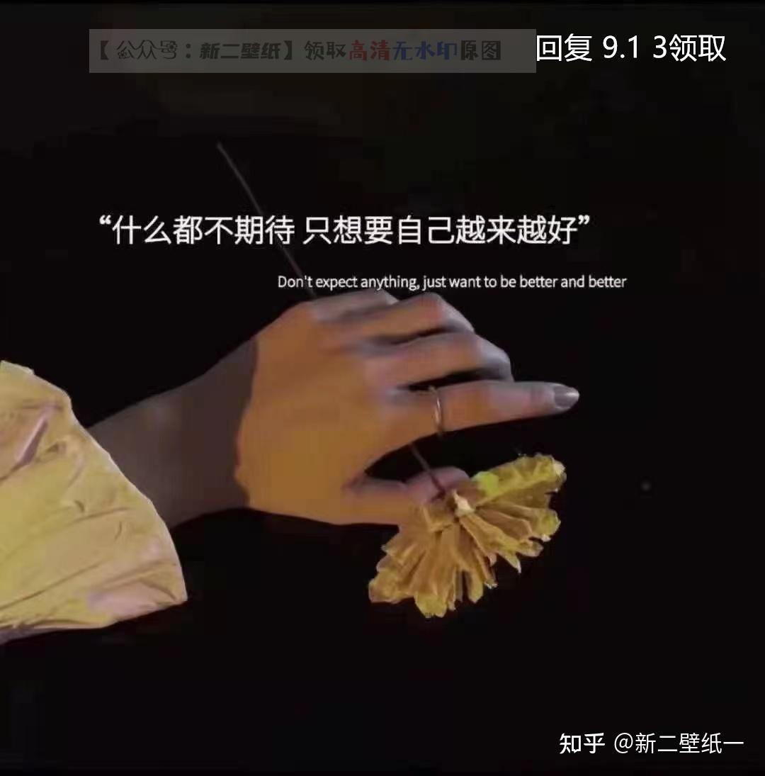 什么都不期待只想自己越来越好图片抖音热门朋友圈封面壁纸背景图