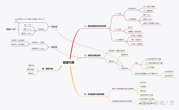 生理学思维导图第七章 能量代谢与体温