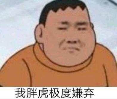 从我发胖虎那一刻起我就输了