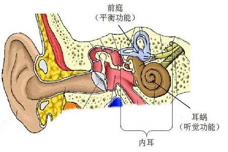 首大戴海江:前庭神经炎要如何治疗