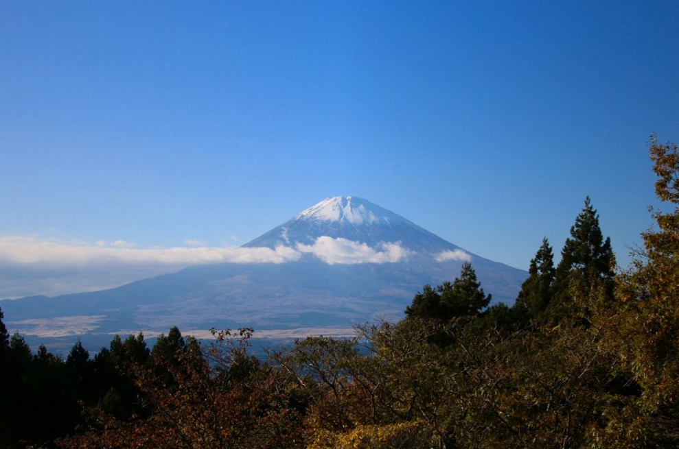 箱根:著名温泉地不容错过的风景