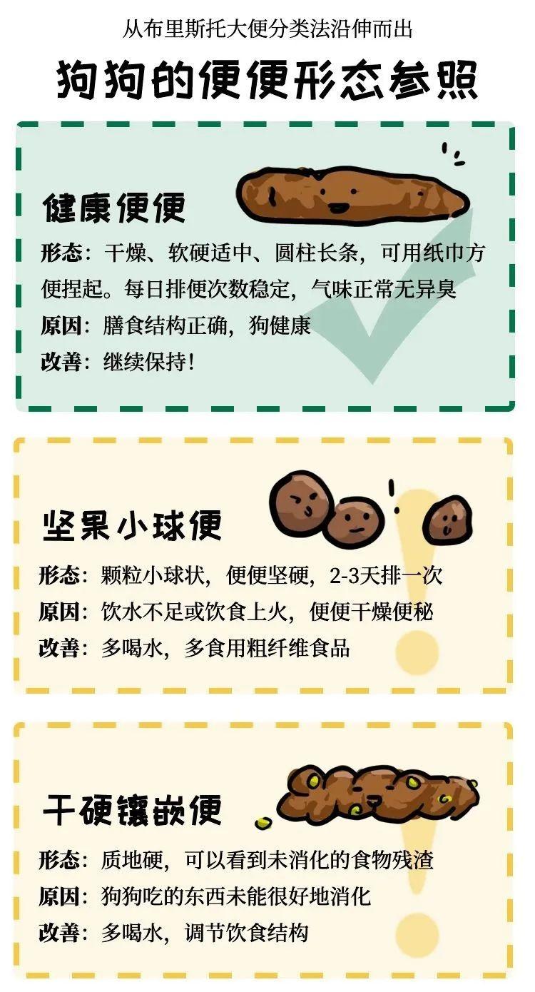 图片版权归食物链宠物食品所有狗便便的健康程度还可以根据颜色对照