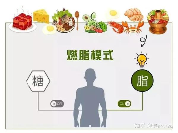 什么是碳循环减脂饮食法?