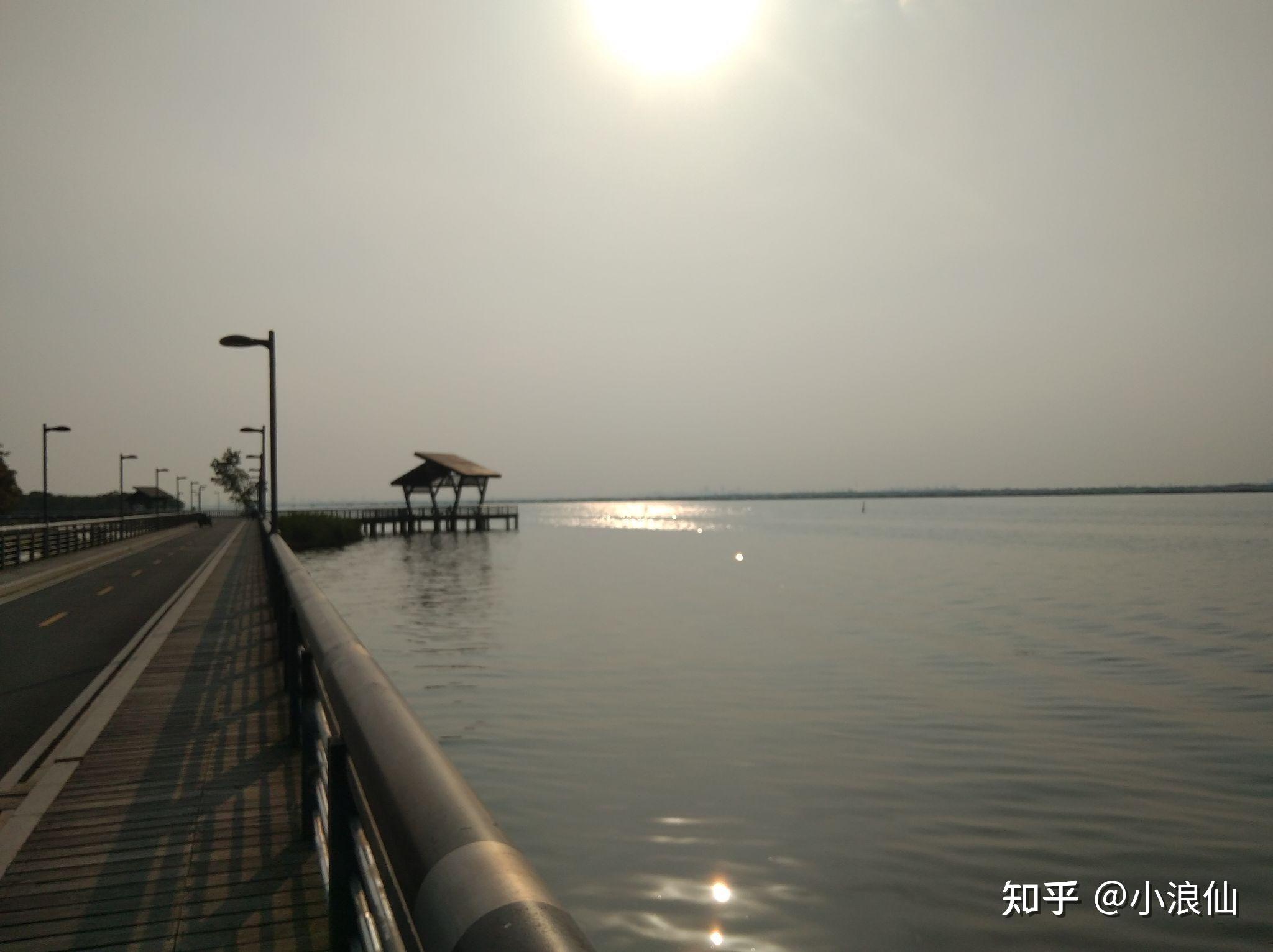 苏州阳澄湖半岛有哪里可坐下来休息聊天的地方么