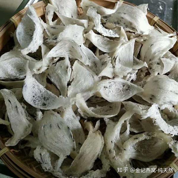 燕窝是什么? - 知乎