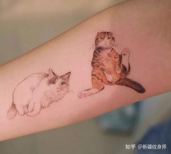 猫咪纹身2 知乎