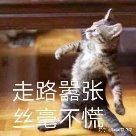 " 不说了,我去扫一下地上的鸡皮疙瘩