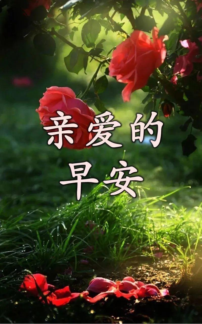 周末中元节早安祝福语图片微信群发温馨的早上好问候短信