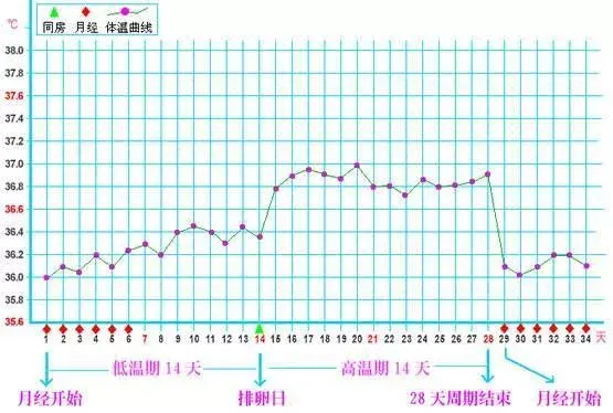 1:在不孕不育门诊常常碰到患者咨询排卵相关问题,特别是对于多囊卵巢