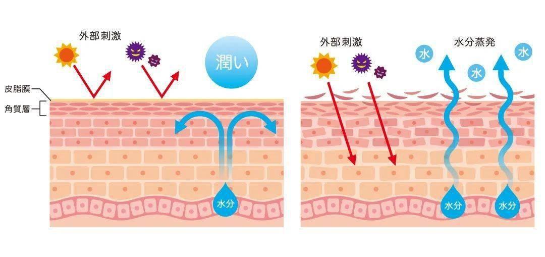 讲护肤 | 千万要保护好自己的"皮肤屏障"