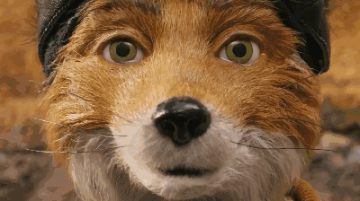 fantastic mr.fox了不起的狐狸爸爸 (2009)