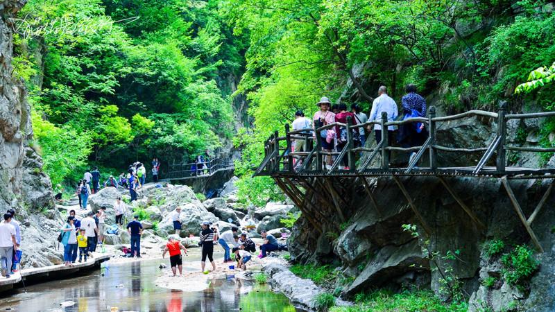 最佳休闲度假胜地洛阳市栾川县养子沟景区低音号旅游