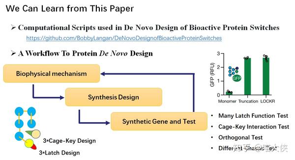 david baker:从头设计具有生物活性的蛋白质开关