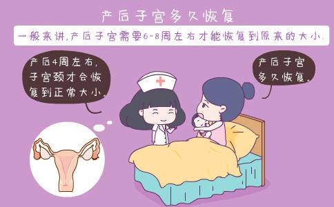 产后子宫是否恢复好有哪些标志