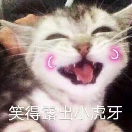 是我太久没上号都破千了呜呜呜感动 更新都是在文后呀 越新的图片都在