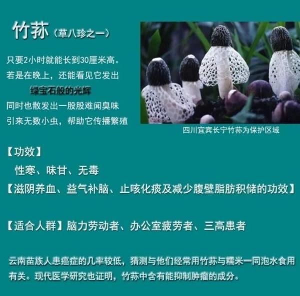 野生菌种类大科普之竹荪