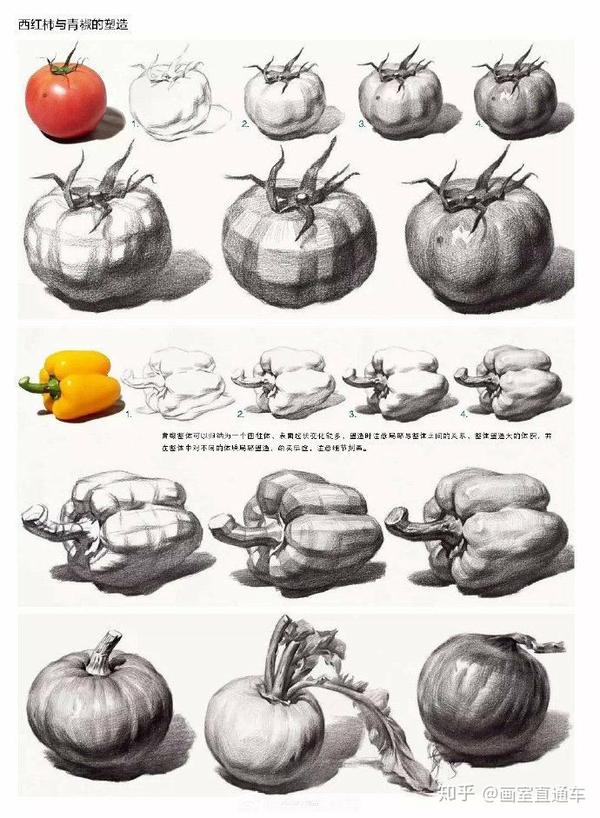 静物素描——辣椒学习素描通常从单个物体开始,常见的