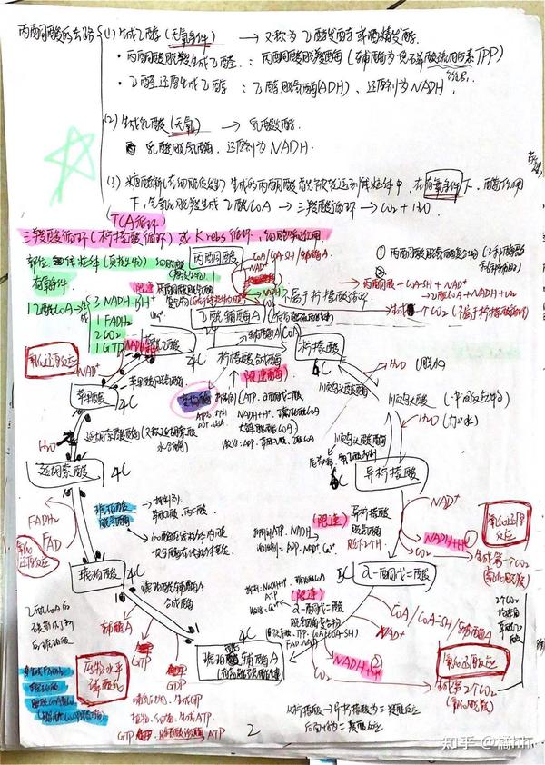 如何有效做笔记?——构建属于自己的思维导图