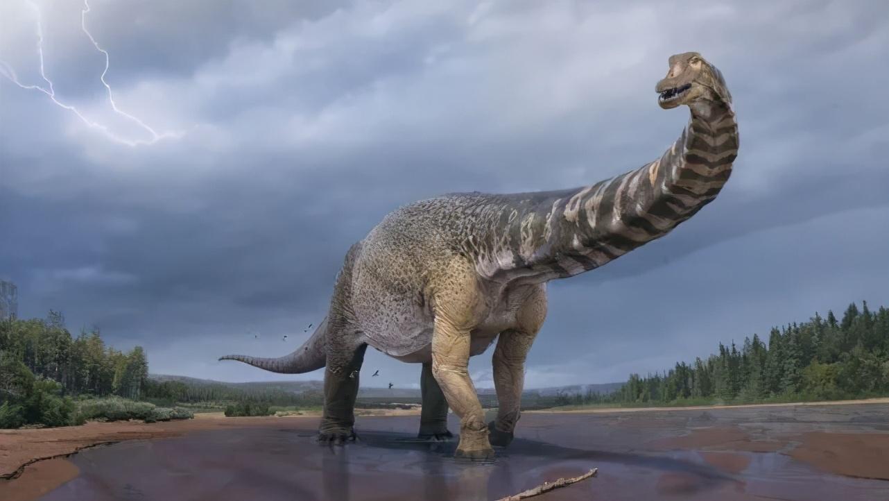 重达70吨世界最大恐龙易主发掘15年未结束见过恐龙屁眼吗