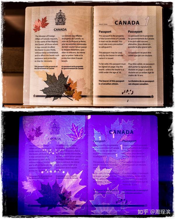 整本加拿大电子护照,内页是本历史教材
