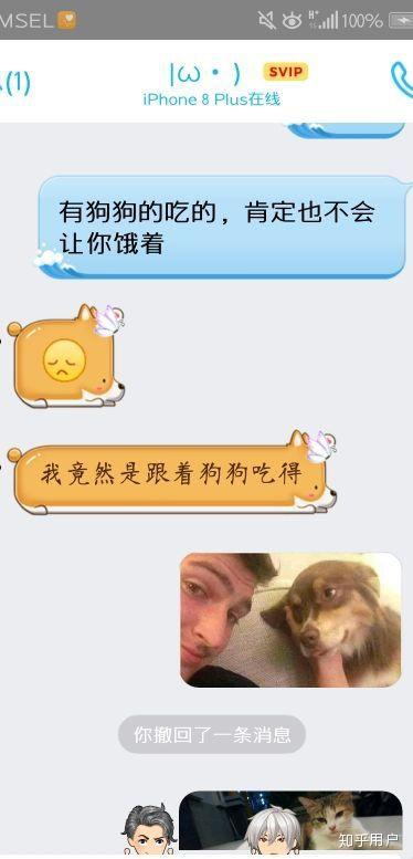 为什么有些女人爱狗胜过爱男友?