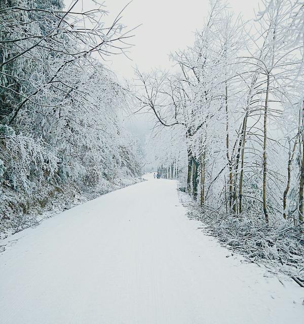 国内有什么雪景好看而又冷门的地方?