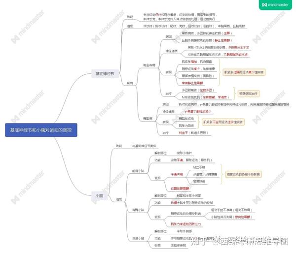 生理学 西综考研思维导图