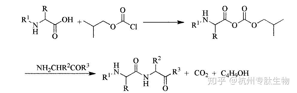 肽键的合成方法 知乎
