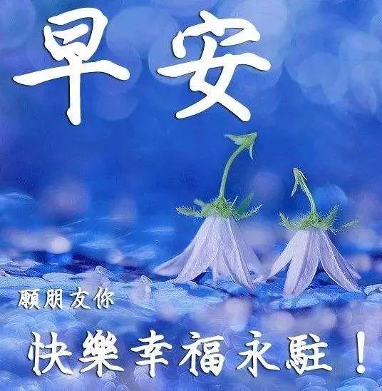 每天早上好问候语以及关心话 早上好祝福问候语动态图片