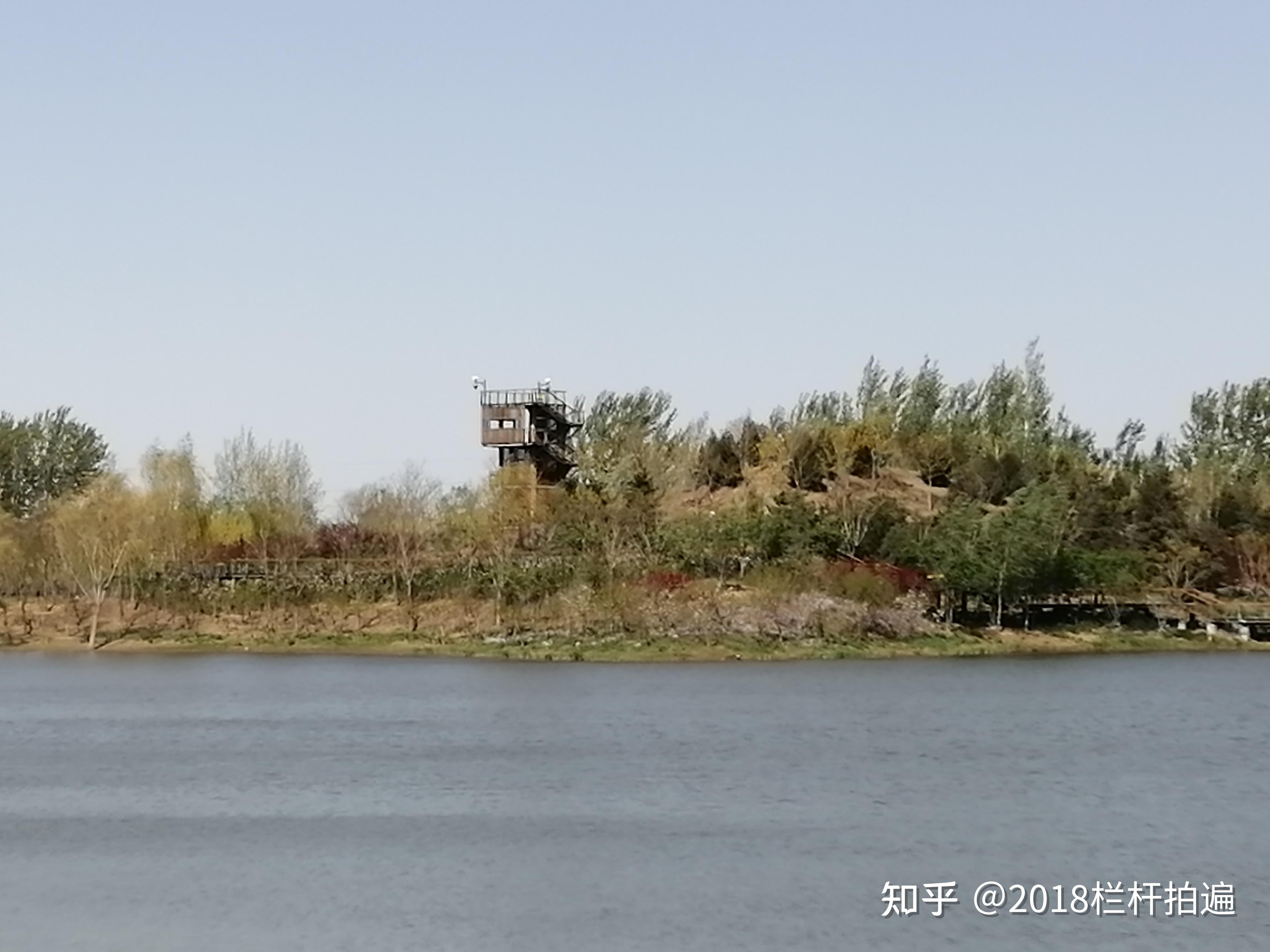 北京东郊湿地公园