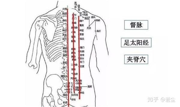 人体气血走膀胱经,膀胱经是人体的去湿排垢的通路,做好这条经络的