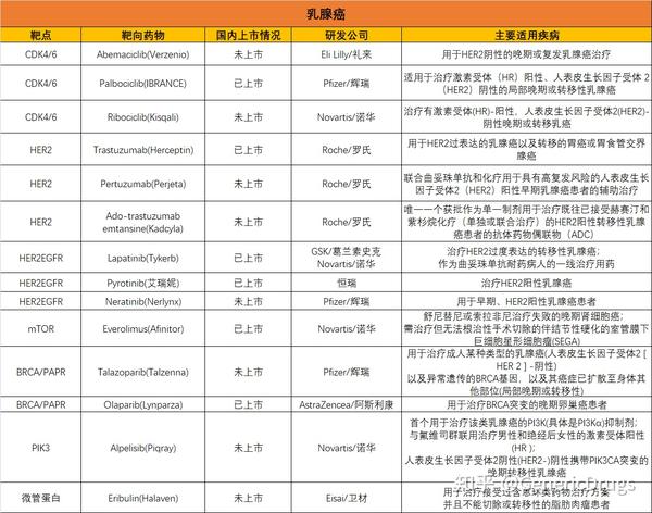 癌症治疗用药指南(2019年版-乳腺癌靶向药