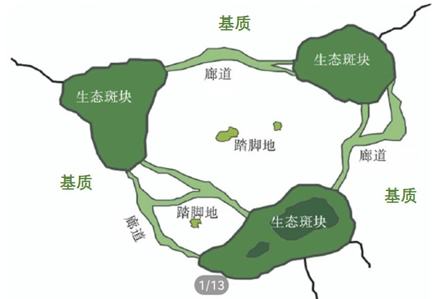 01什么是景观生态规划