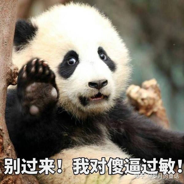 熊猫表情包?