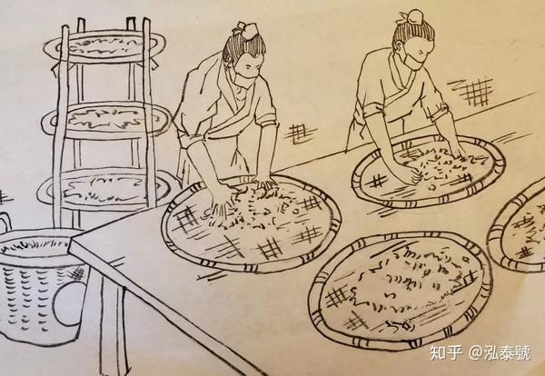 泓泰学堂第1期普洱茶生茶制作全过程