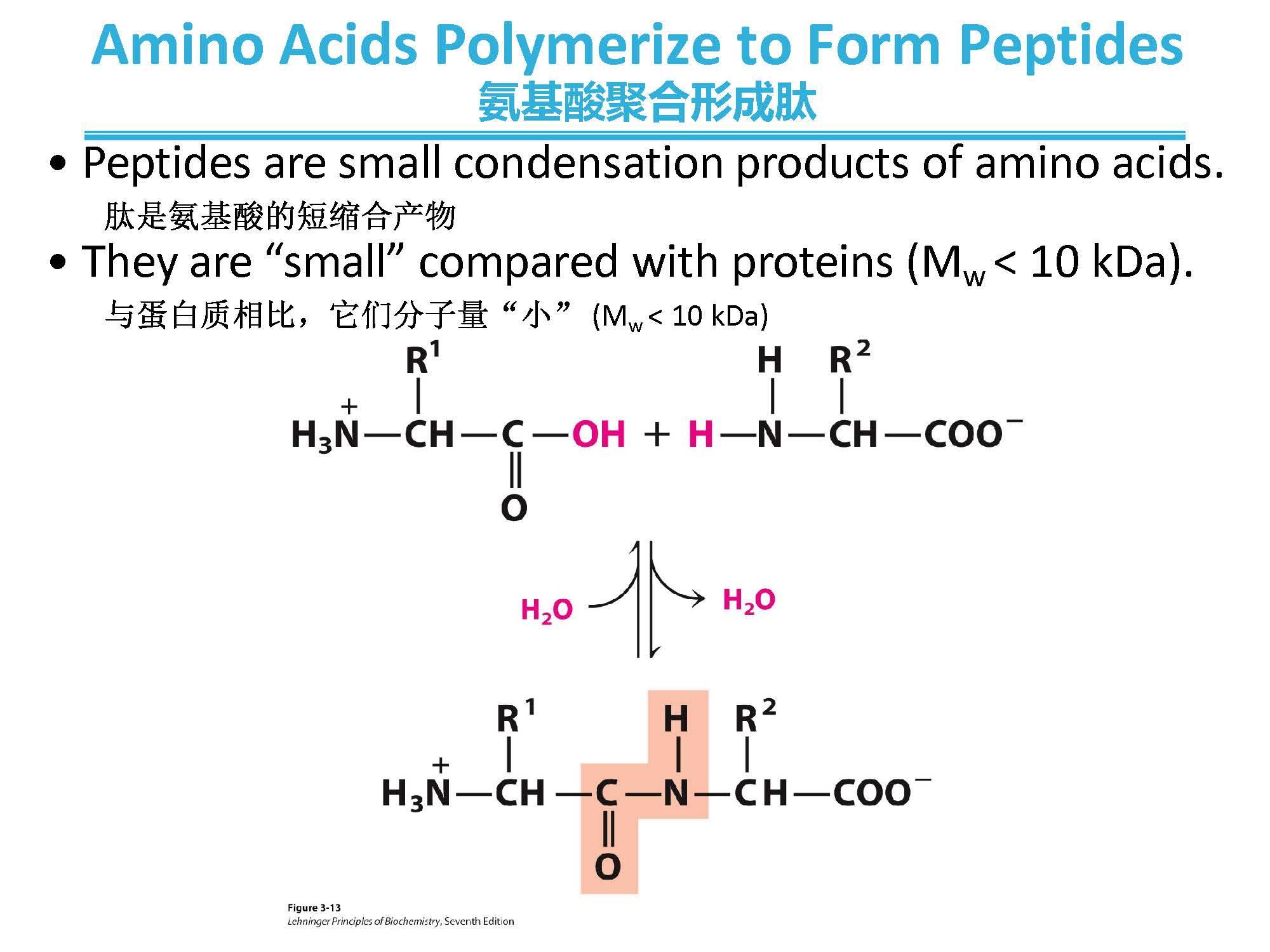 Lehninger Principles Of Biochemistry