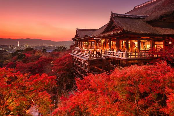 京都拥有1600多座历史悠久的佛教寺庙,其中许多寺庙可以追溯到一千多