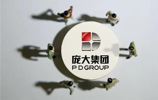 完美"蝶变"——庞大集团从1.0时代迈向2.0时代