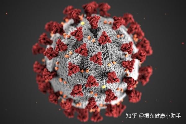 变异病毒德尔塔我们该如何预防?
