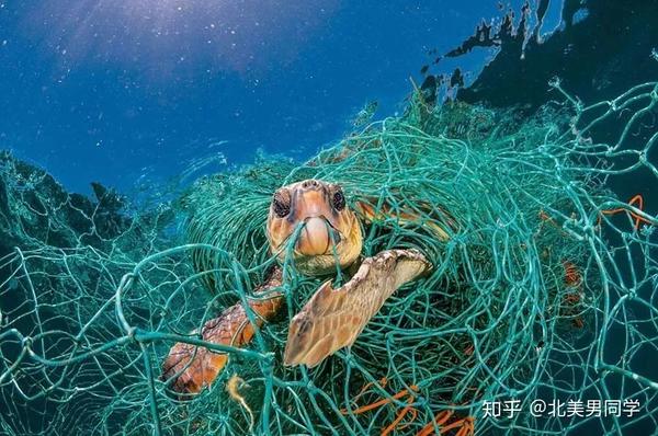 中国的人间天堂每天至少堆满12吨垃圾求求你们别去茶卡盐湖