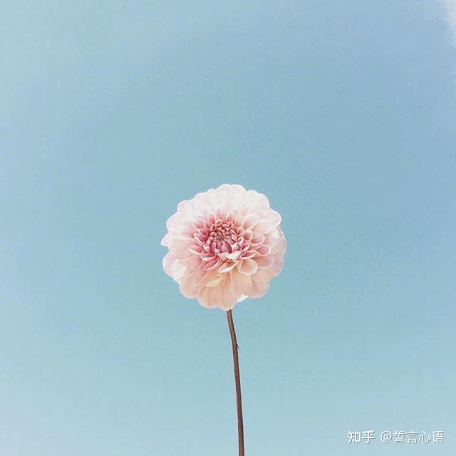 放宽心态看淡一切的21句话太经典了