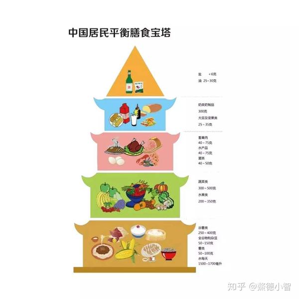 食物金字塔这个值得你收藏