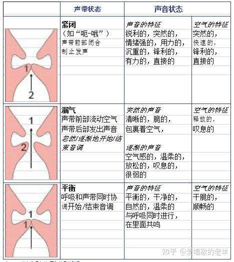 声带闭合理论evt理论系统