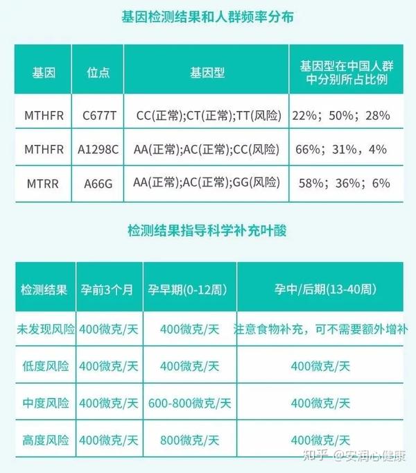 准爸妈备孕指南为什么叶酸代谢基因检测这么重要