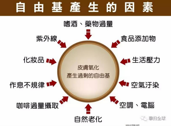 自由基进入到血液中,会和低密度脂蛋白结合形成氧化型的低密度脂蛋白