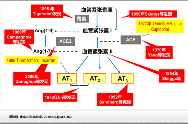 122 肾素之现——话说肾素-血管紧张素系统