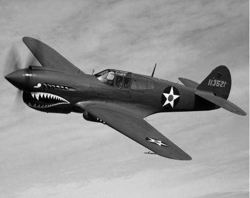 2 p-40「战鹰」战斗机 - 空战英豪:二战战机风云录